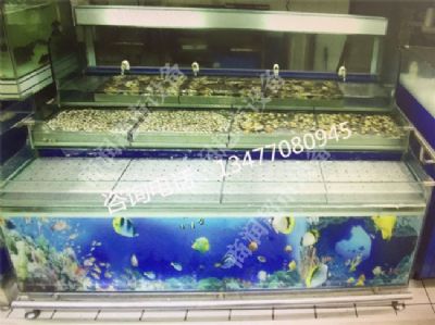 冰鮮魚池系列